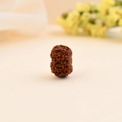 11 Mukhi Rudraksha