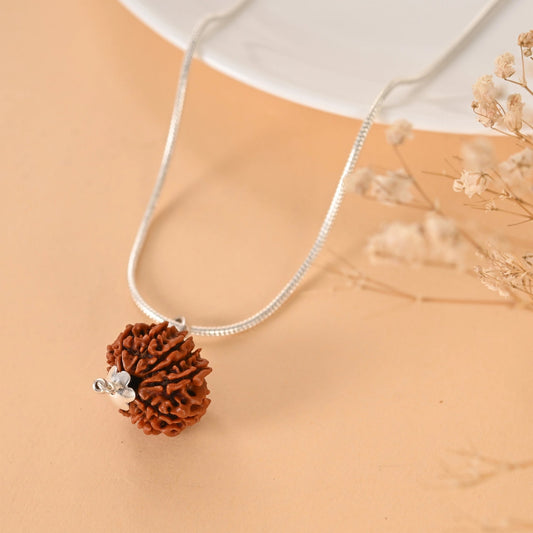 11 Mukhi Rudraksha (Nepal)