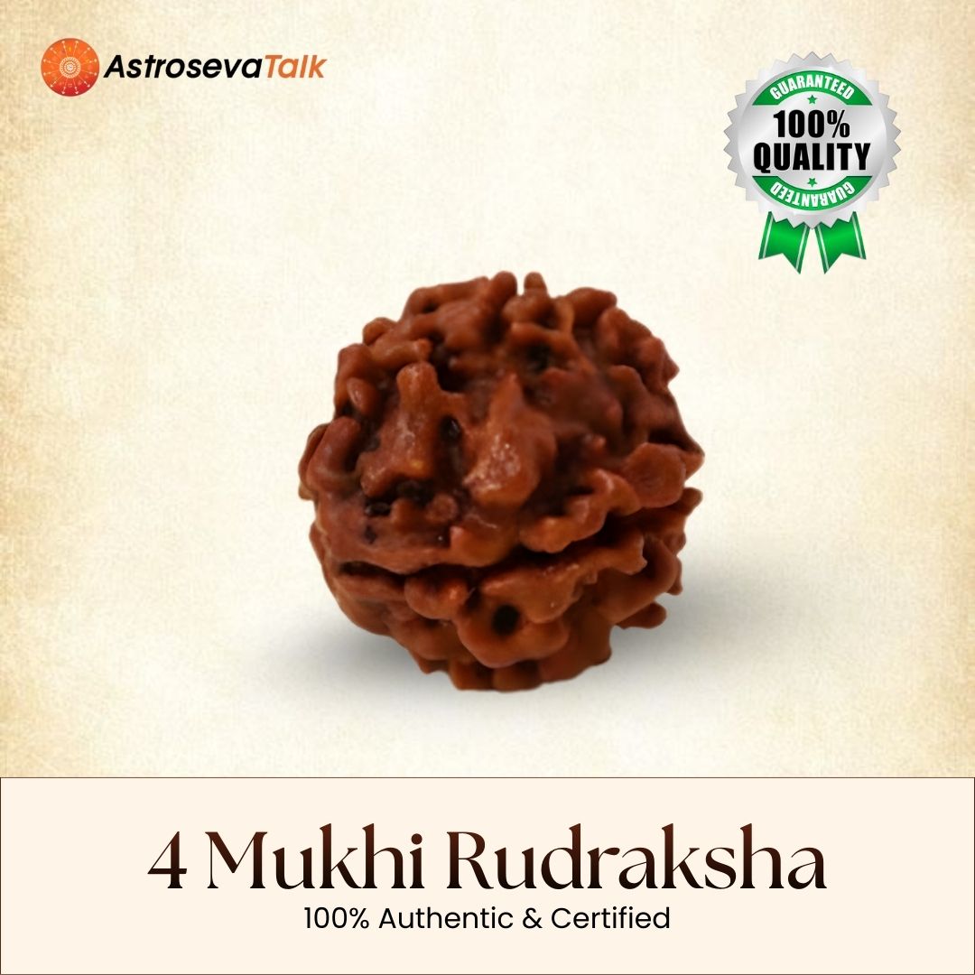 Siddh 4 Mukhi Rudraksha
