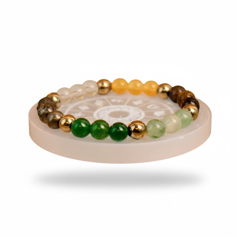 Siddh Sampurn Dhan Super Combo with Selenite