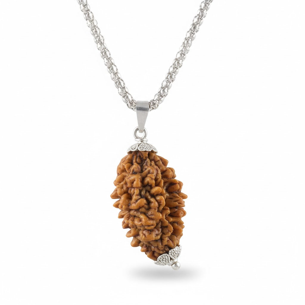 Siddh 2 Mukhi Rudraksha