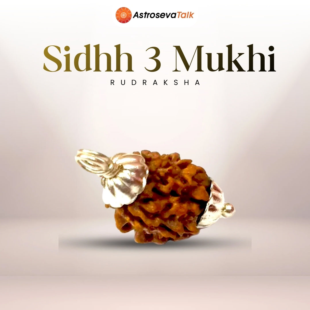 Siddh 3 Mukhi Rudraksha