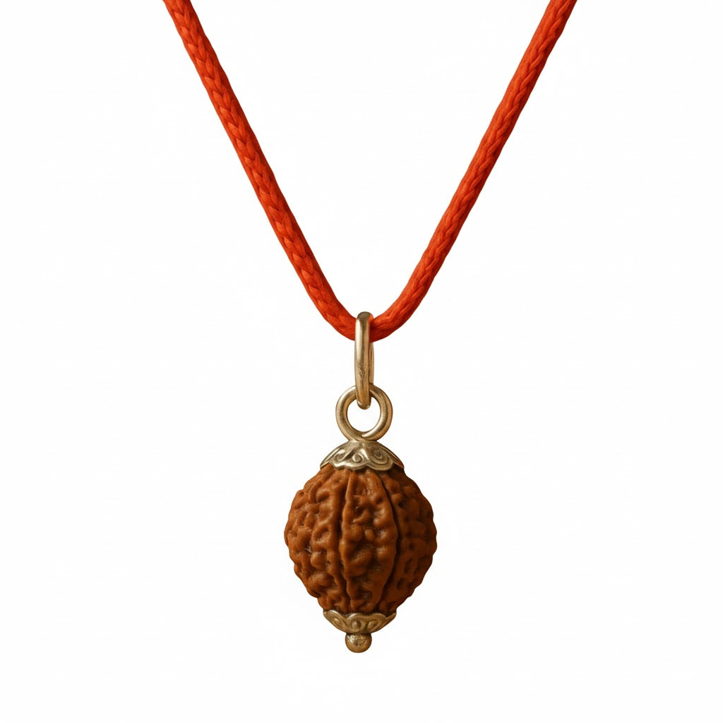 Nepal Origin 5 Mukhi Rudraksha