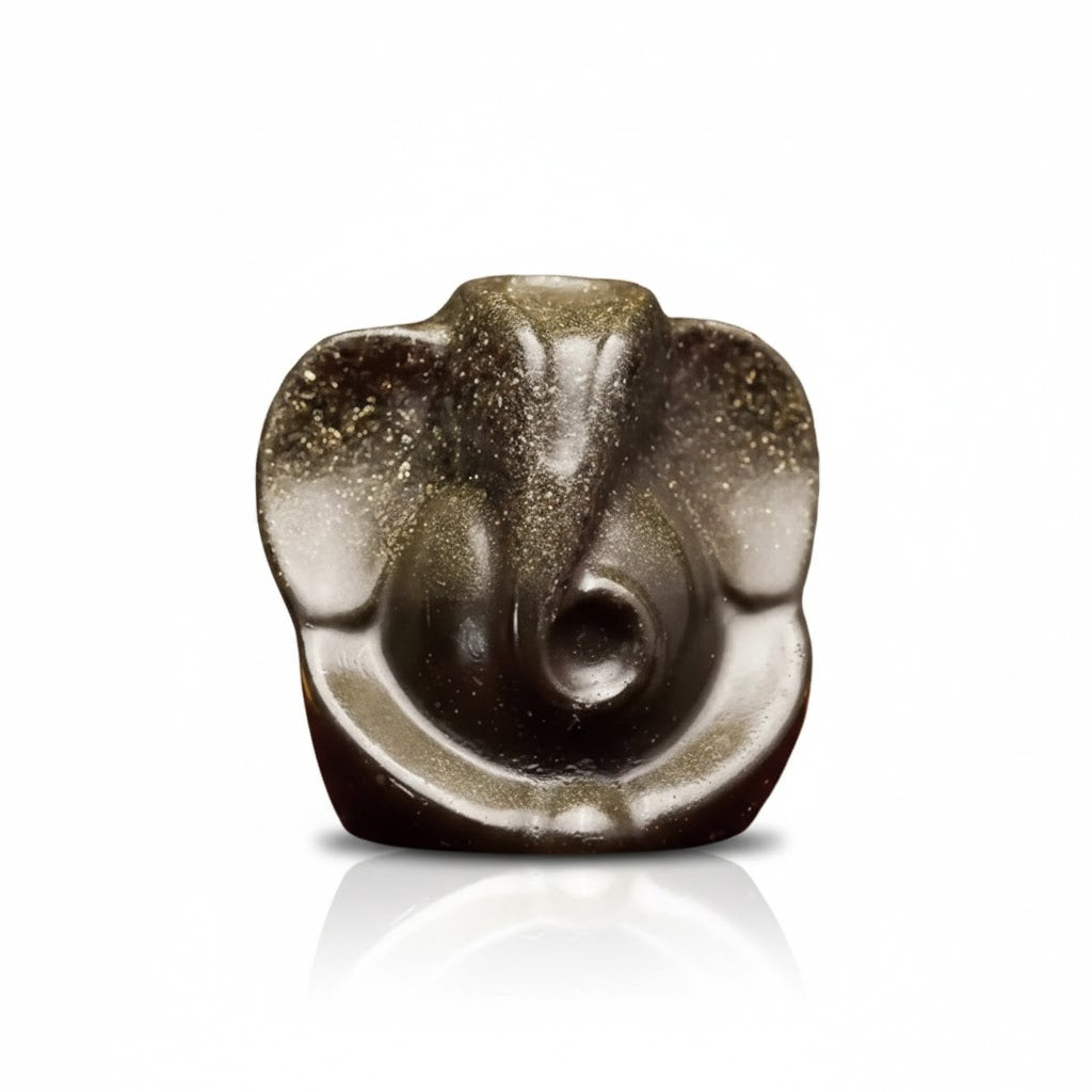 Siddh raw pyrite Ganesh
