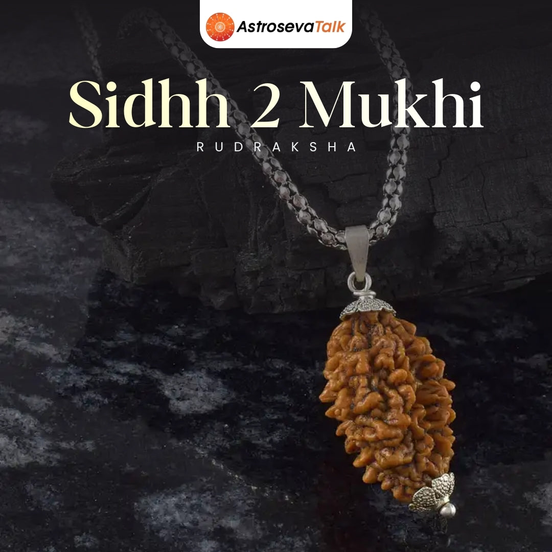 Siddh 2 Mukhi Rudraksha