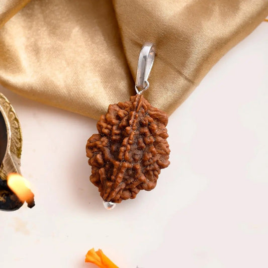 2 Mukhi Rudraksha