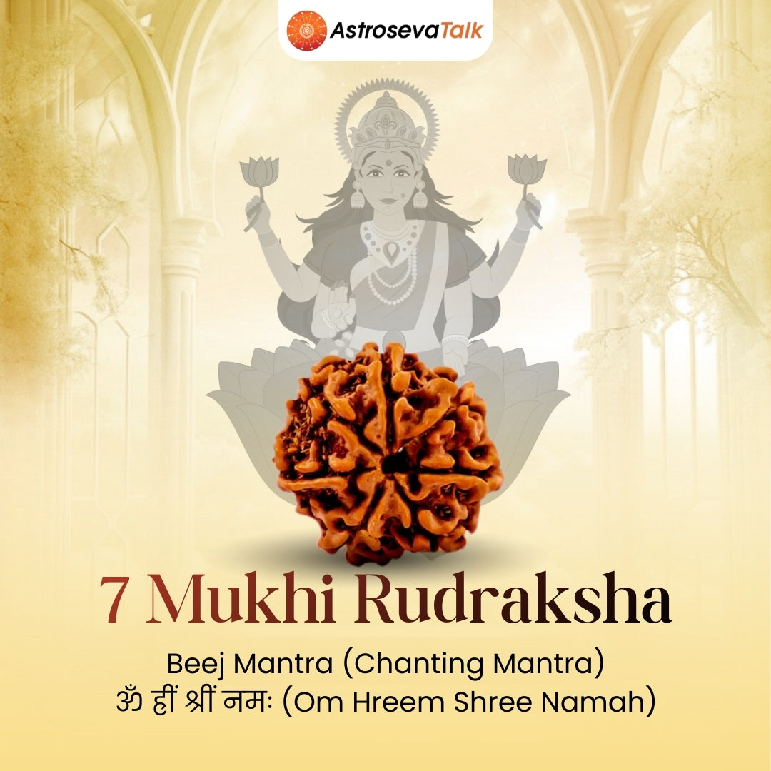 Siddh 7 Mukhi Rudraksha