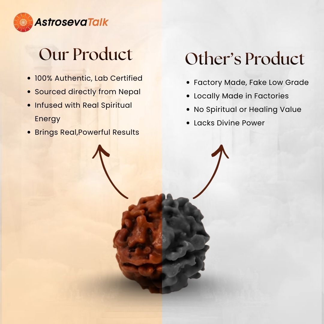 Siddh 4 Mukhi Rudraksha