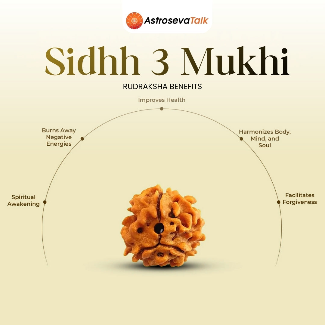 Siddh 3 Mukhi Rudraksha