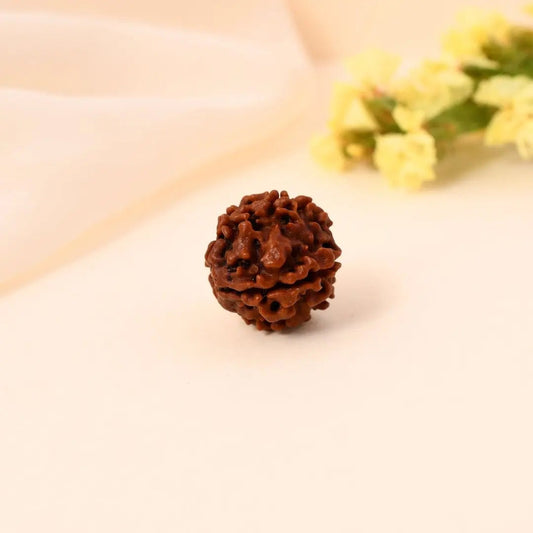 4 Mukhi Rudraksha