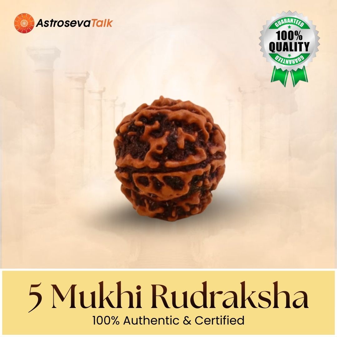 Siddh 5 Mukhi Rudraksha