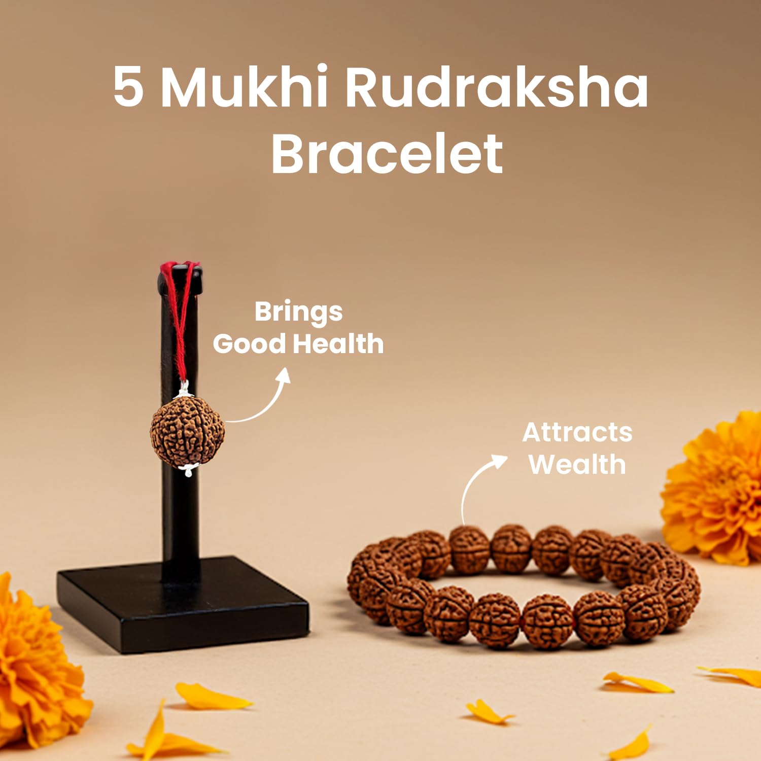 Astrotalk 5 Mukhi Rudraksha Combo | 5 Mukhi Rudraksha | Spiritual Growth & Protection | Unisex healing Astrology bracelets for Men & Women | Certificate of Authenticity