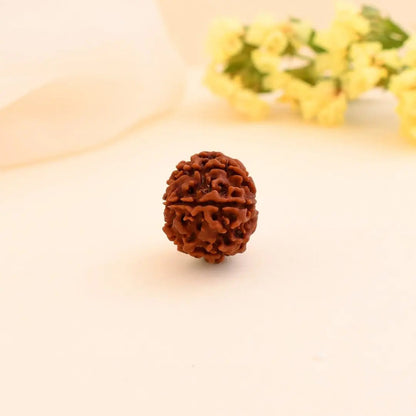 7 Mukhi Rudraksha