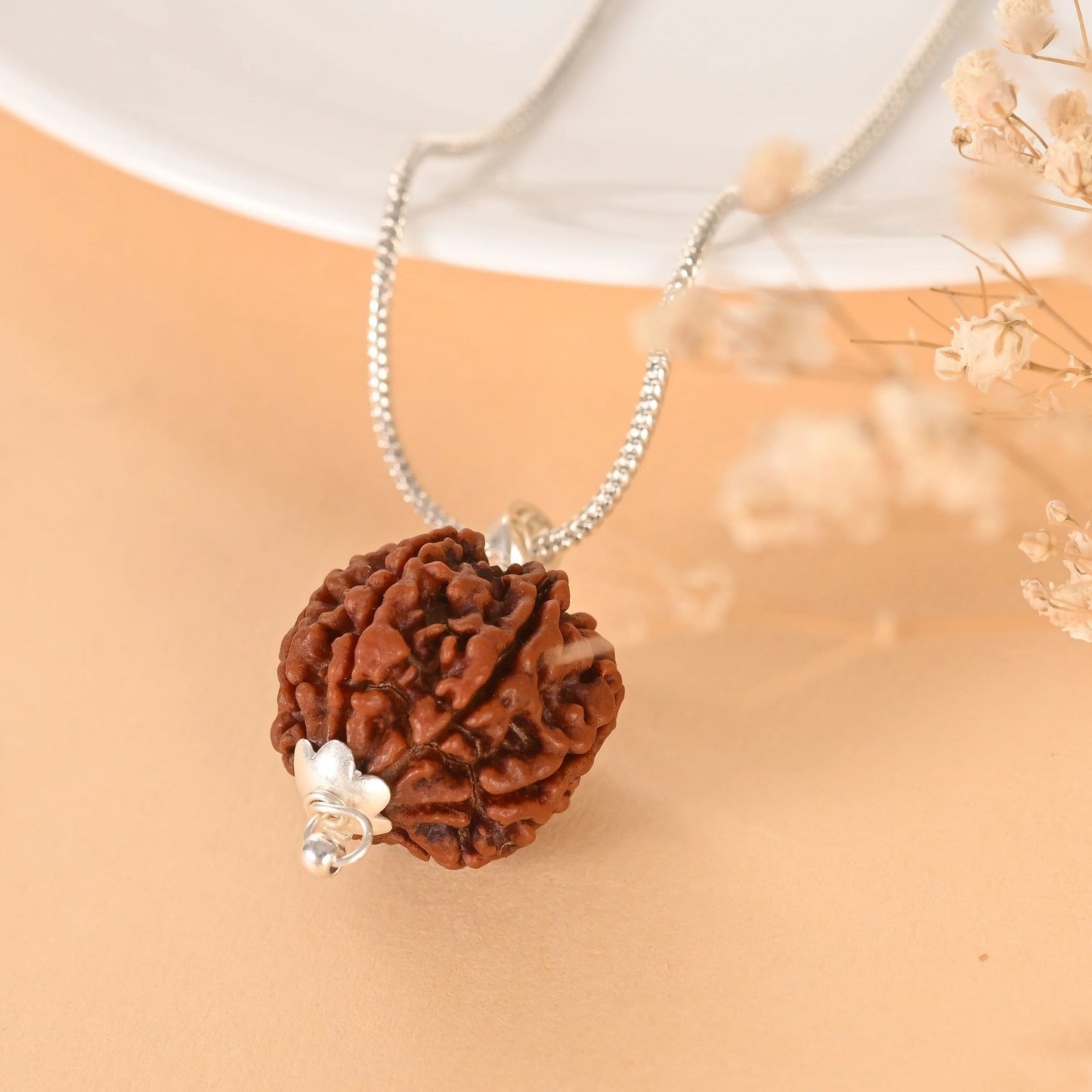7 Mukhi Rudraksha