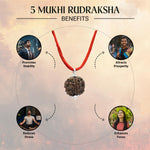 Astrotalk 5 Mukhi Rudraksha Combo | 5 Mukhi Rudraksha | Spiritual Growth & Protection | Unisex healing Astrology bracelets for Men & Women | Certificate of Authenticity
