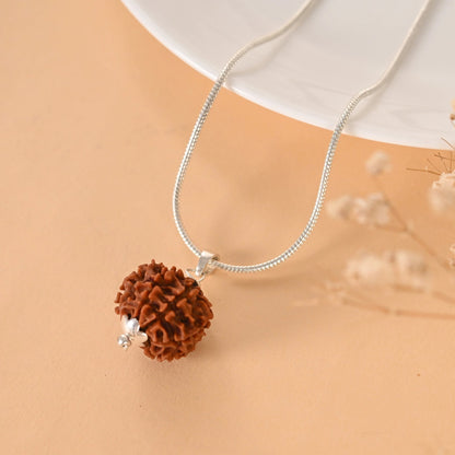 8 Mukhi Rudraksha (Nepal)