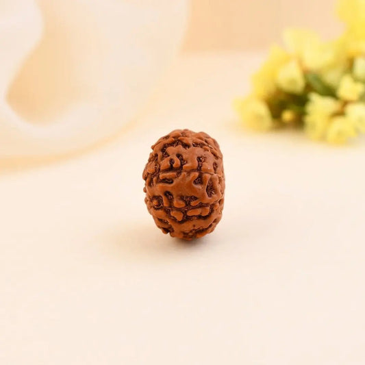 9 Mukhi Rudraksha