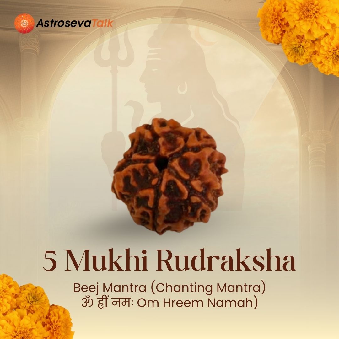 Siddh 5 Mukhi Rudraksha