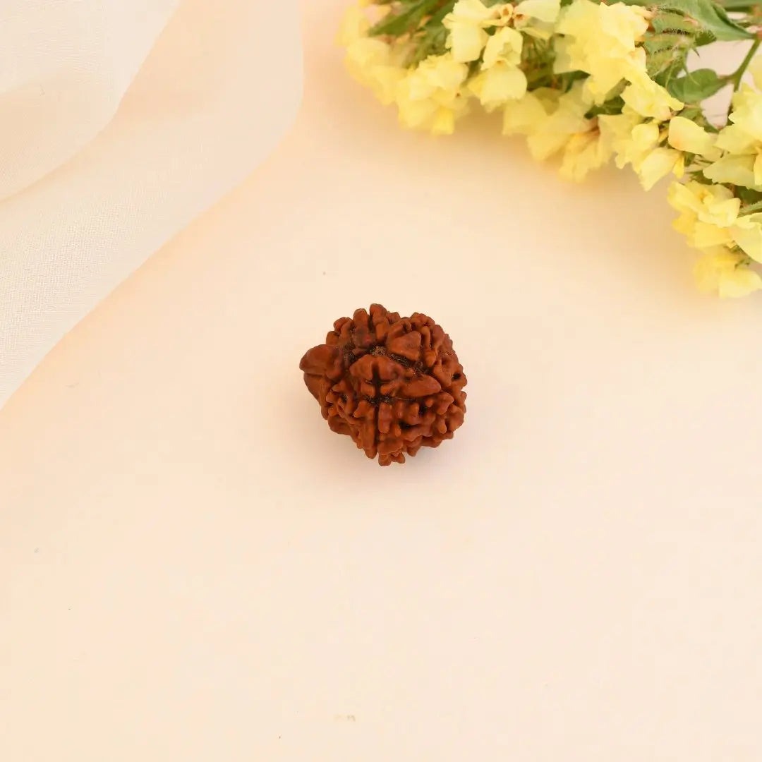 Ganesha Rudraksha