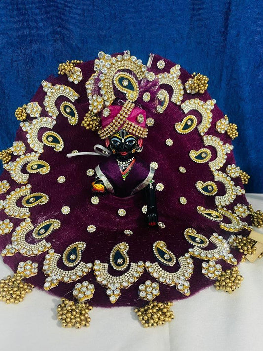 Astrosevatalk Gopal Ji Midnight Velvet Embellished Dress