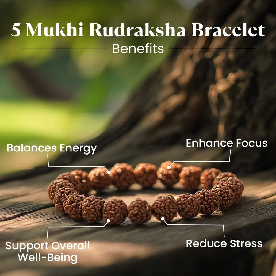 Maha Lakshmi Kripa Combo with 7 Mukhi Rudraksha