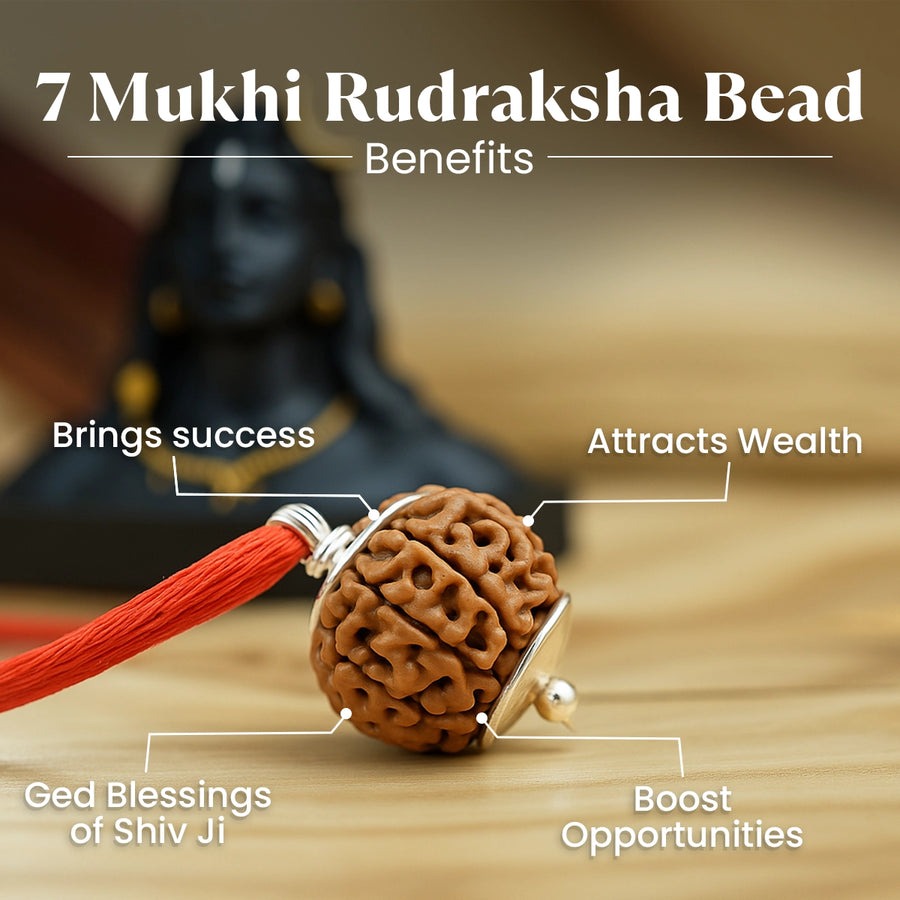 Maha Lakshmi Kripa Combo with 7 Mukhi Rudraksha