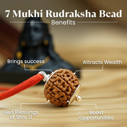 Maha Lakshmi Kripa Combo with 7 Mukhi Rudraksha