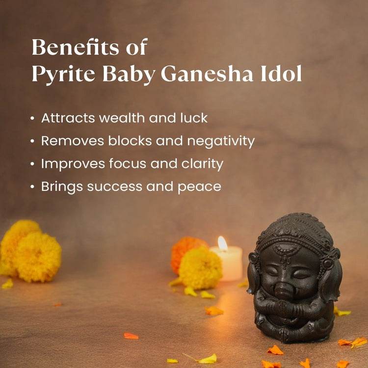 Sampoorna Ganesh Kripa Combo