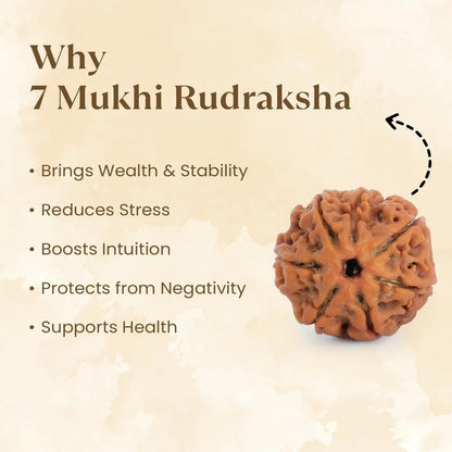 Raw pyrite Ganesh ji with 7 mukhi rudraksh