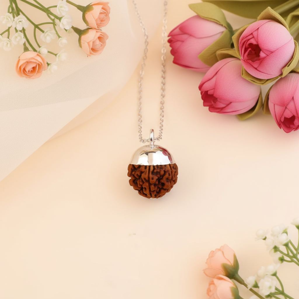 Siddh 7 Mukhi Rudraksha