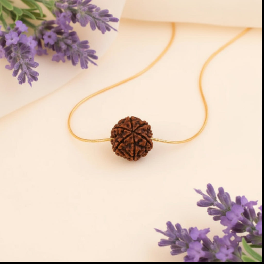 Siddh 6 Mukhi Rudraksha