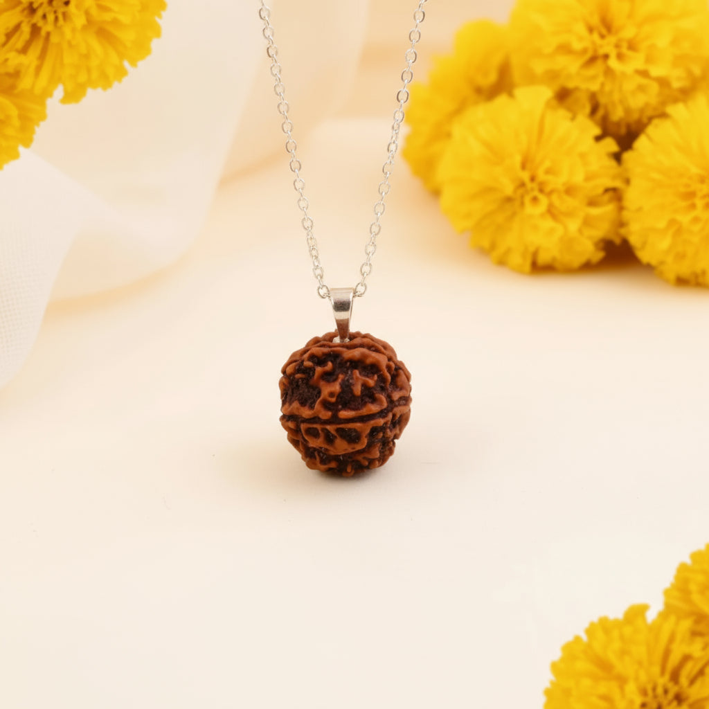 Siddh 5 Mukhi Rudraksha
