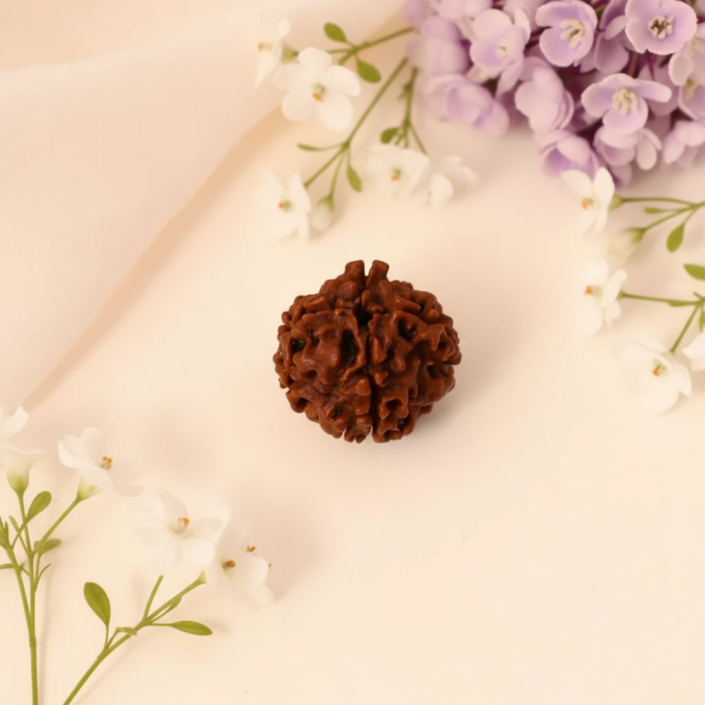 Siddh 4 Mukhi Rudraksha